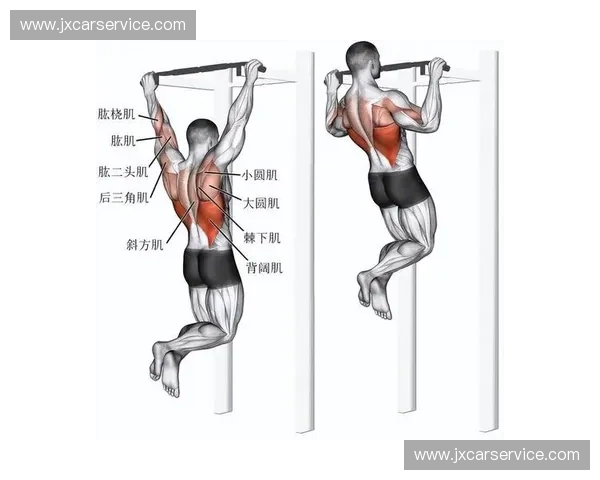 引体向上发力技巧与训练方法解析，帮助提高上拉力量与耐力